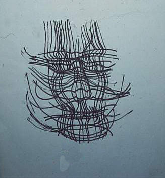 wire face